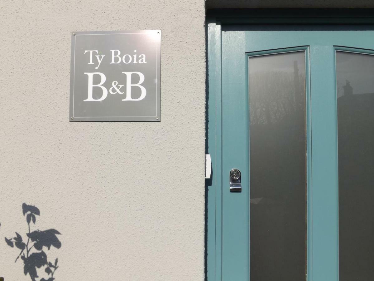 Ty Boia Bed & Breakfast St David's Zewnętrze zdjęcie