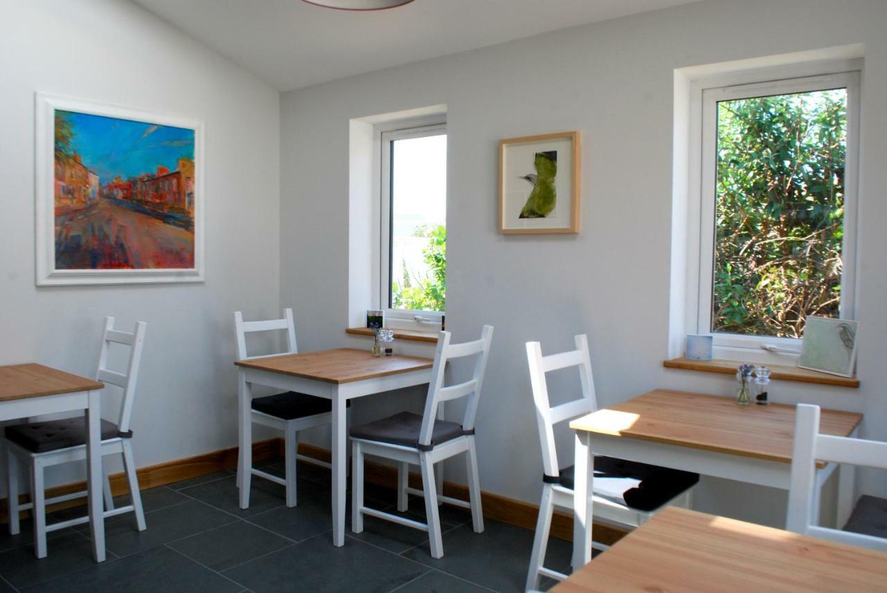 Ty Boia Bed & Breakfast St David's Zewnętrze zdjęcie
